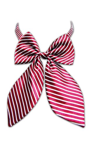 LJ-ST-11 Bow Tie Know, Ribbon Knot Bow Tie